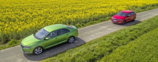 Top Tips For Driving in a Heatwave